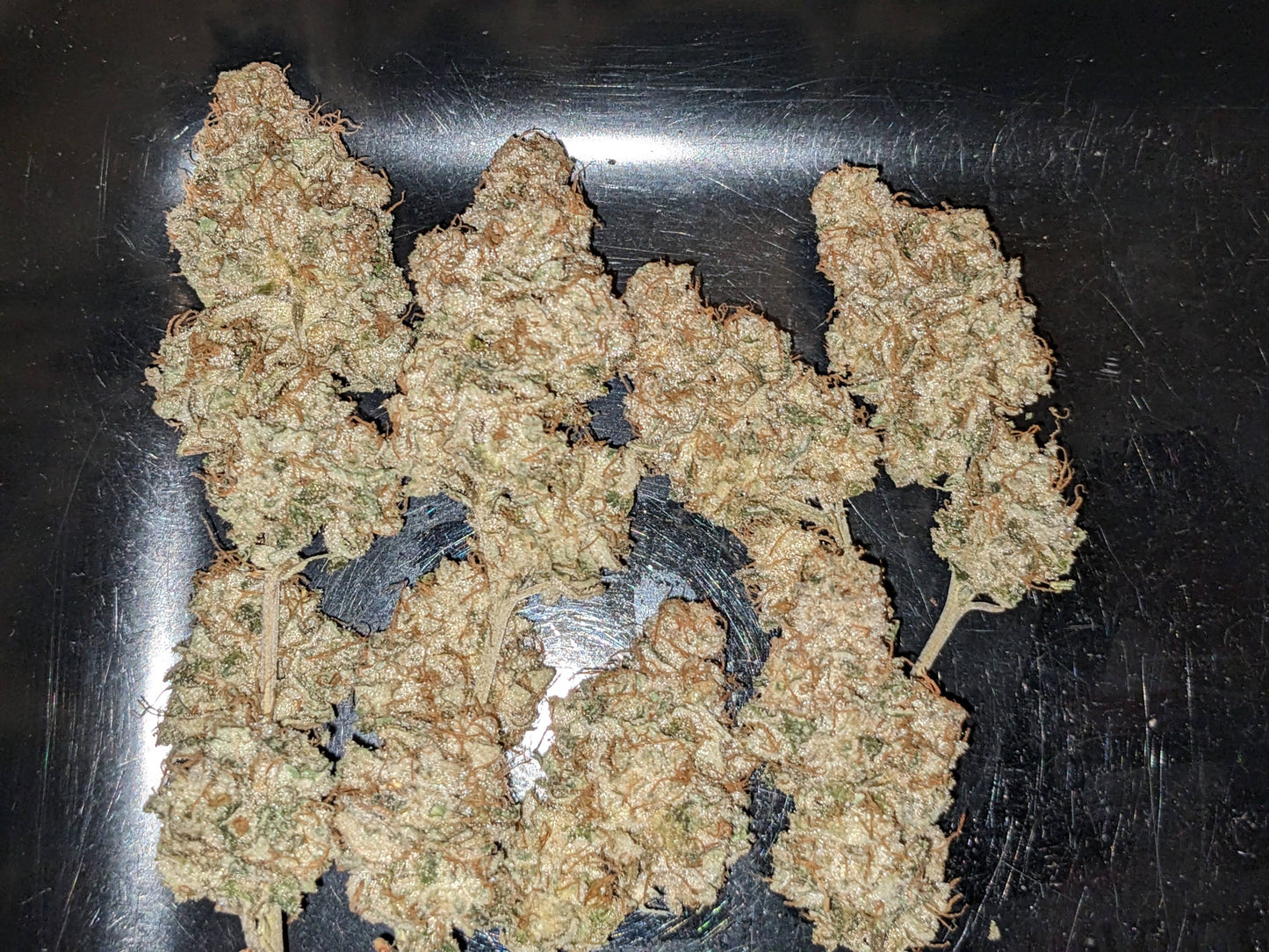 Mandarin Cookies (Ethos Genetics)